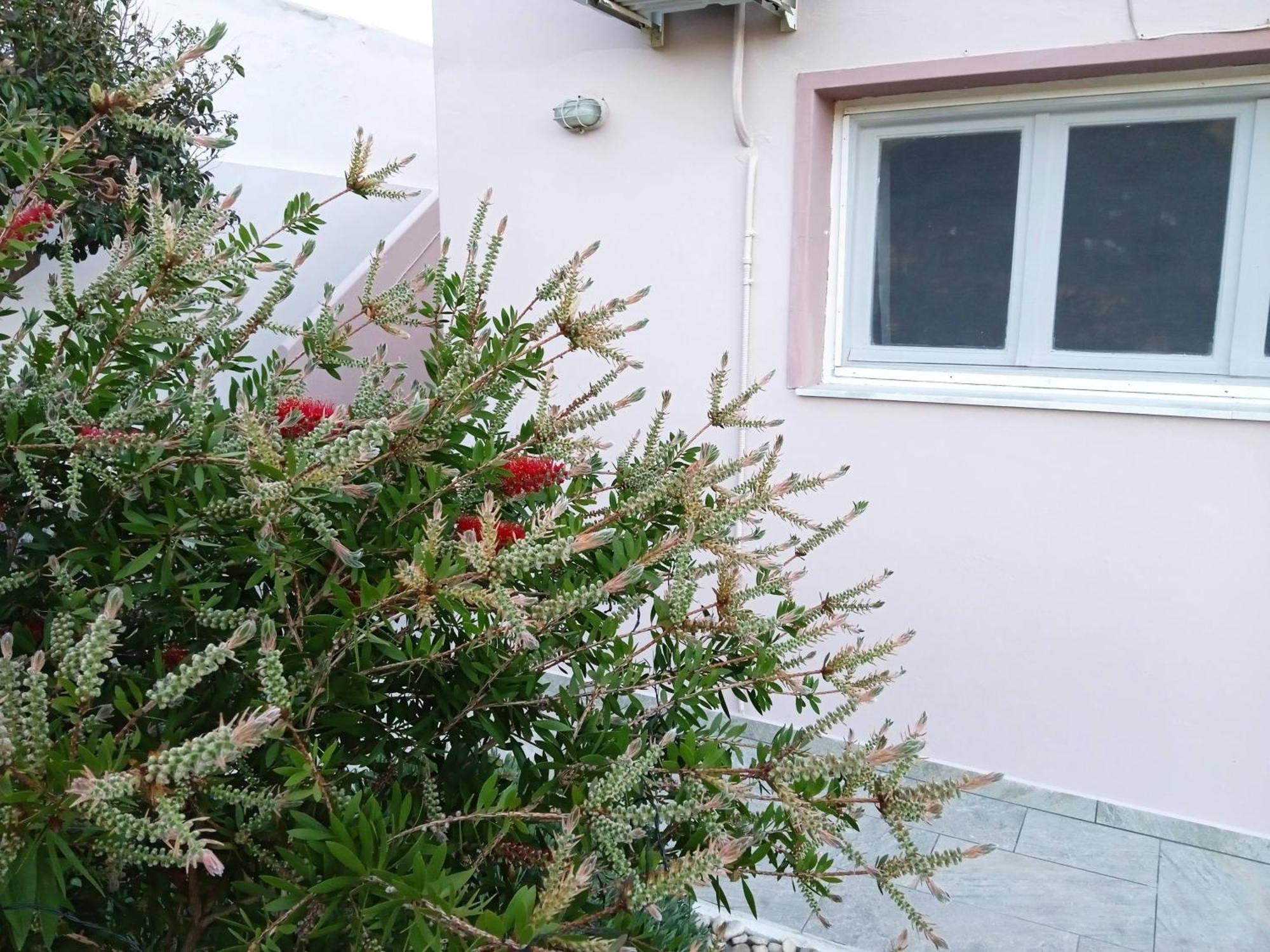 Andros Lighthouse Apartments Mesaria  Luaran gambar
